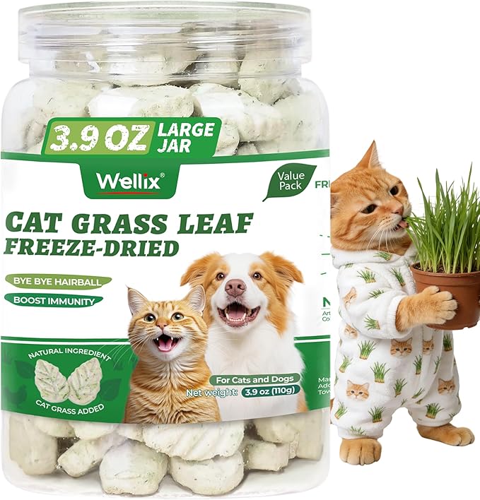 Wellix 3.9oz Leaf Crisps Freezed-Dried Cat Grass Treats - Healthy Cat Treats for Hairball Control & Teeth Cleaning Stick - Kittens Dental Chews and Training Snacks