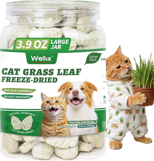 Wellix 3.9oz Leaf Crisps Freezed-Dried Cat Grass Treats - Healthy Cat Treats for Hairball Control & Teeth Cleaning Stick - Kittens Dental Chews and Training Snacks