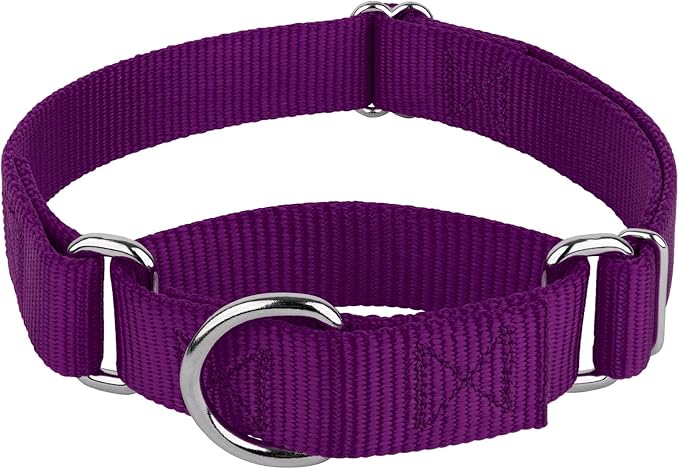 Country Brook Petz - Martingale Dog Collar - Heavy-Duty Training Collar with No Buckle - Service Dog Collar for All Pups - 20 Vibrant Colors (Purple, 5/8 Inch, Extra Small)