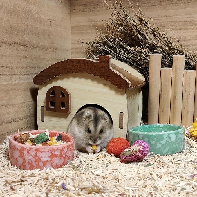 kathson 4 Pcs Hamster Food Bowl Guinea Pig Ceramic Water Bowl Small Animal Feeding Dish for Dwarf Hamster Gerbil Syrian Ferret Hedgehog Chinchilla Bunny