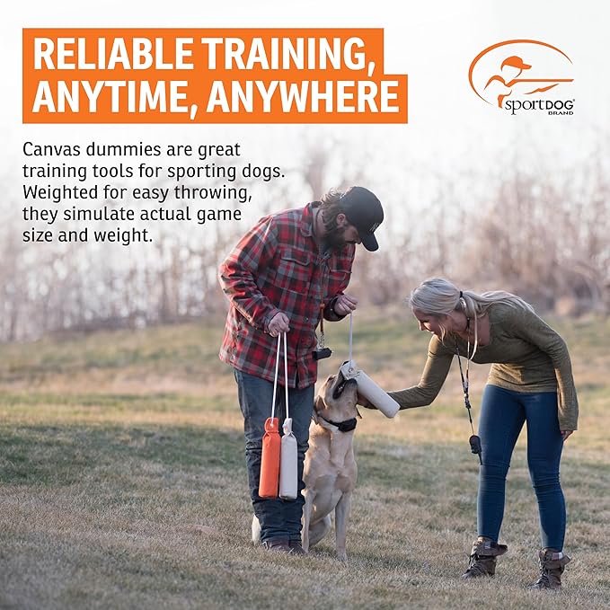 SportDOG Canvas Dummies - Hunting Dog Training Tool - Game Scent Absorber - Water-Ready Bumper - Durable Field Dummy - Weighted Toy - Standard Size - 2.75" W X 12" L - Orange