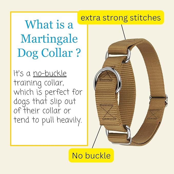 Country Brook Petz - Martingale Dog Collar - Heavy-Duty Training Collar with No Buckle - Service Dog Collar for All Pups - 20 Vibrant Colors (Coyote Tan, 5/8 Inch, Extra Small)