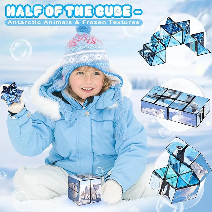 Euclidean Cube 2 in 1 Magic Cube Set, Fidget Toy for Kids Adults, Yoshimoto Cube for Ages 8-12, Arctic/Antarctic Animals Puzzle Cube Fun Toy for Boys Girls (Polar Series)