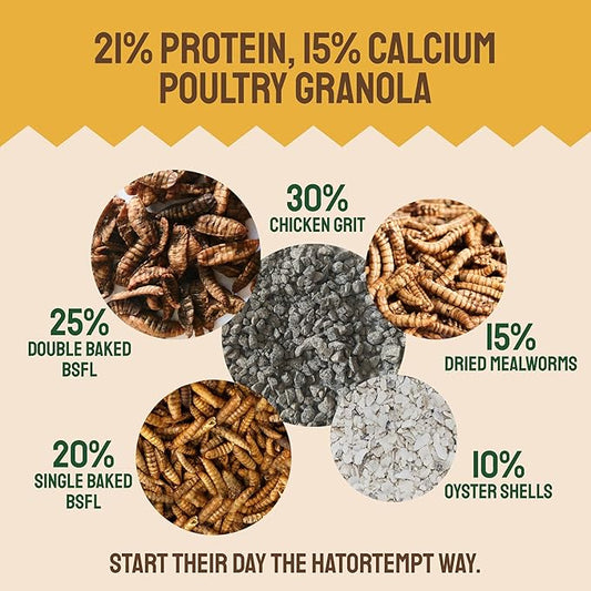 Hatortempt Grubs & Grits Chicken Feed Supplement - 5lb - with Chicken Grit, Mealworms, Black Fly Larvae and Oyster Shells - 21% Protein and 15% Calcium