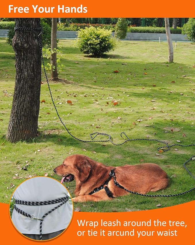 Long Dog Leash, 10FT-100FT, Reflective, Heavy Duty for Large to Small Dogs, Walking, Playing, Camping, Yard