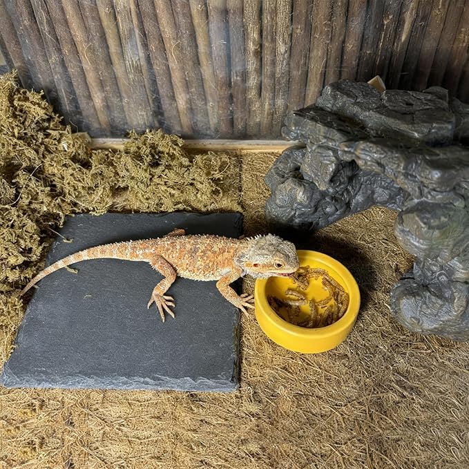 Reptile Basking Platform 6.0''x6.0'' Turtle Rock Plate Slate Food Feeding Dish Bowl Bathing Resting Terrace for Chameleon Lizard Bearded Dragon Gecko Snake Frog Newt (6.0''/15CM)