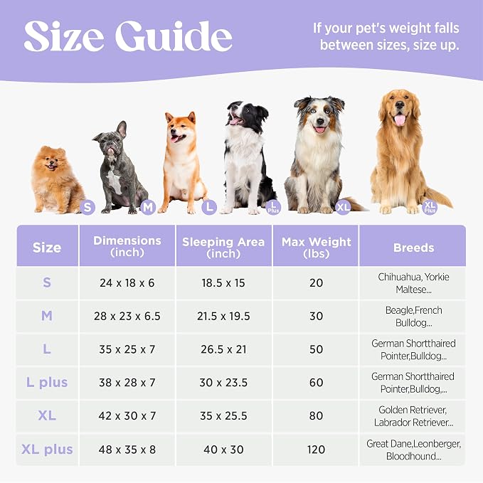 LE SURE Cute Dog Bed Medium Size Dog, Orthopedic Waterproof Medium Pet Beds with Sides, High Back Non-Slip Bottom and Egg-Crate Foam Pet Couch Sofa with Washable Removable Cover, Grey