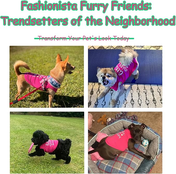 Paiaite Dog Clothes Fashionable Sleeveless Pet Vest: 'Little Miss Sassy' Printed Cotton Dog Shirt, Ideal for Small, Medium, and Large Breeds, Ensuring Comfort and Breathability Pink S