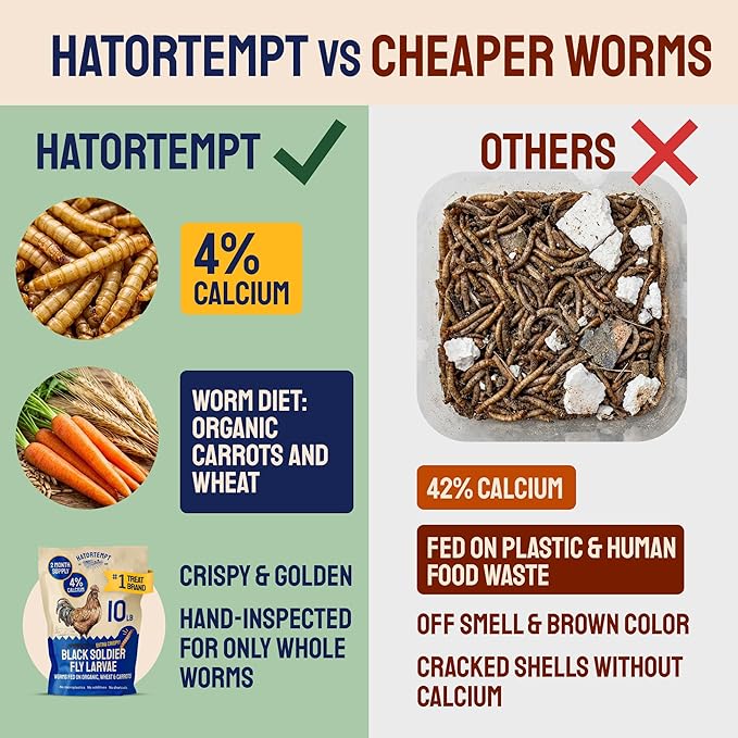 Hatortempt 5lbs Organic Black Soldier Fly Larvae for Chickens - 114X More Calcium Than Mealworms for Chickens - High Protein Worms - Feed Treats for Laying Hens, Quails and Ducks