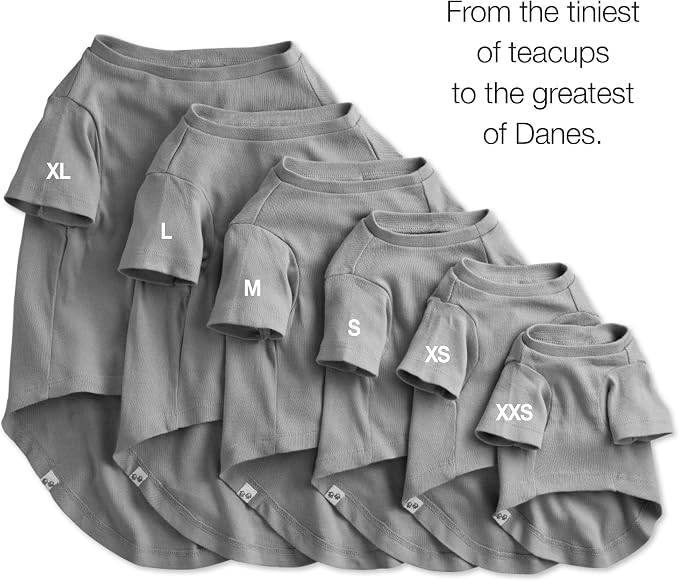 Pet Passion Toby 3-Pack 100% Organic Cotton Dog Short Sleeve T-Shirt Pet Tees for All Breeds, Gray Ombre, Small (10-25 lbs)