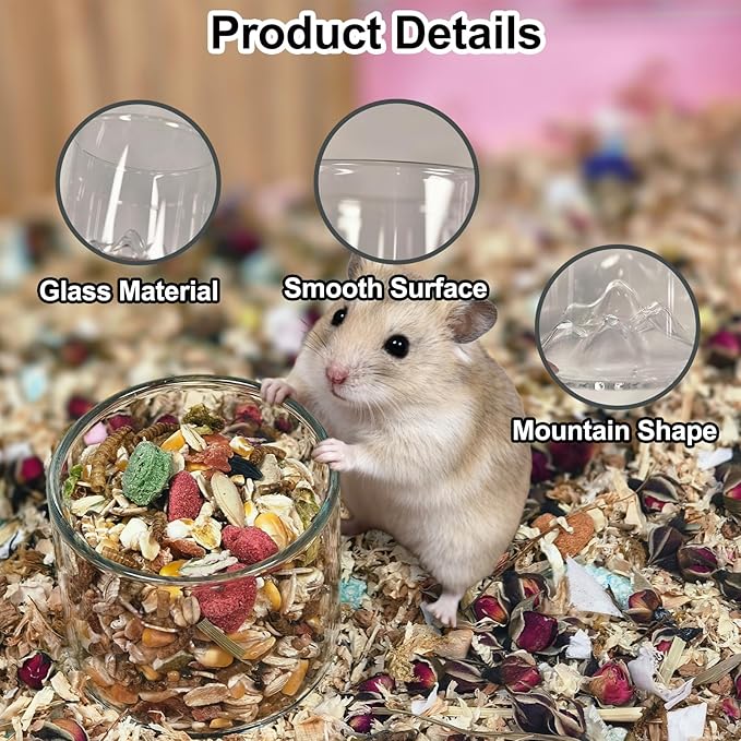 2 Pcs Hamster Feeding & Water Bowls, Glass Syrian Hamster Water Bottle Rat Food Bowl Anti Turning Small Animal Bowls for Gerbils Mice Rats (Clear)