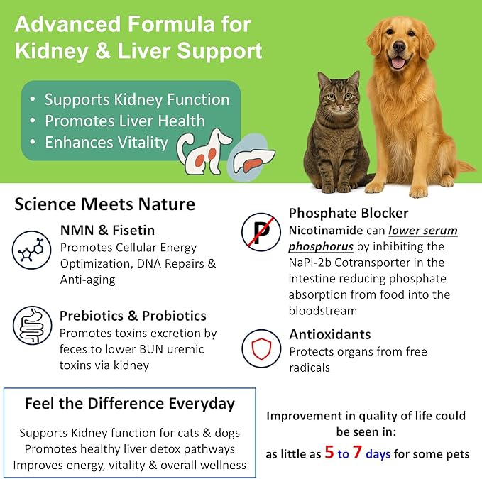 𝗘𝘃𝗲𝗻𝘁𝘂𝗮𝗹𝗹𝘆 𝗬𝗼𝘂𝗻𝗴 Cat Kidney Support for Dog & Cat with NMN & Fisetin - Super Phosphate Binder Kidney and Liver Supplement for Feline, Canine Healthy Aging & Longevity NAD+ (60 Caps)