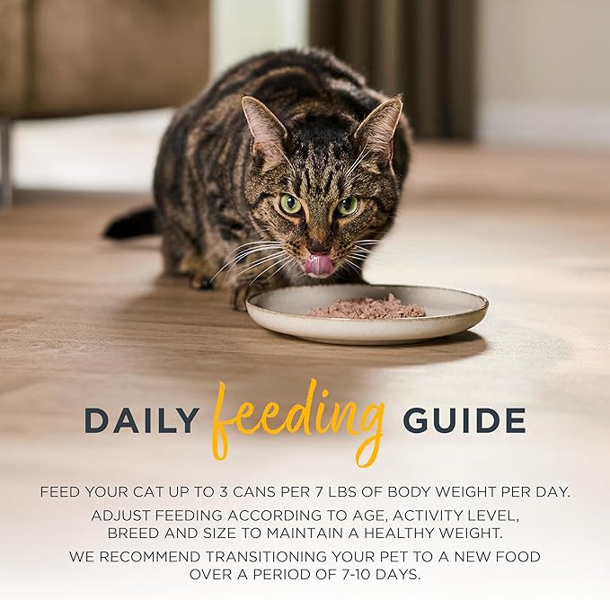 Reveal Entrées Natural Wet Cat Food, Grain-Free with Added Vitamins & Minerals, Carrageenan-Free and High Protein, Tuna Fillet in Broth (24 x 2.47 oz Cans)