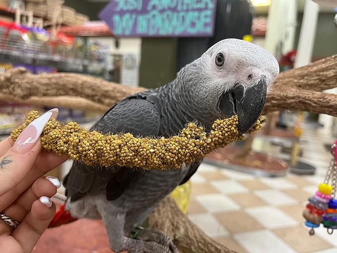 Birds LOVE Economy Special Spray Millet - GMO-Free (No Stems Only Edible Tops) for Birds Cockatiel, Lovebird, Parakeet, Finch, Canary All Parrots Healthy Treat 7oz - Pack of 4
