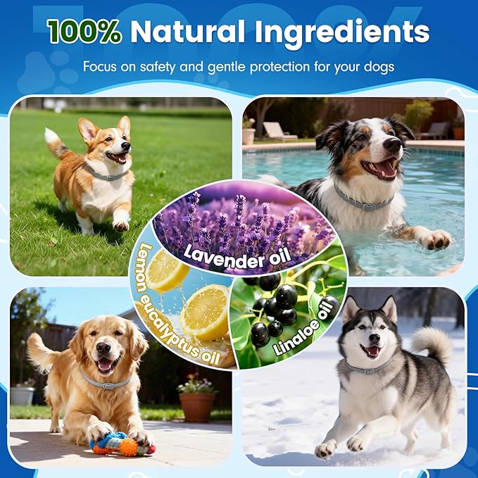 KOOSA Flea and Tick Collar for Dogs, 5 Packs Flea Collar for Dogs with Natural Essential Oils, Waterproof & Adjustable Flea and Tick Prevention Collar for Small Medium Large Dogs & Puppies, Grey 01