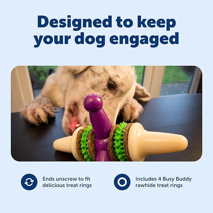 PetSafe Busy Buddy Jack - Treat Holding Dog Chew Toys - Helps Clean Teeth - Vanilla Scented Rubber for Strong Chewers - Treat Refills Included, Interactive Dog Toy Helps Keep Dogs Busy, Purple, Medium