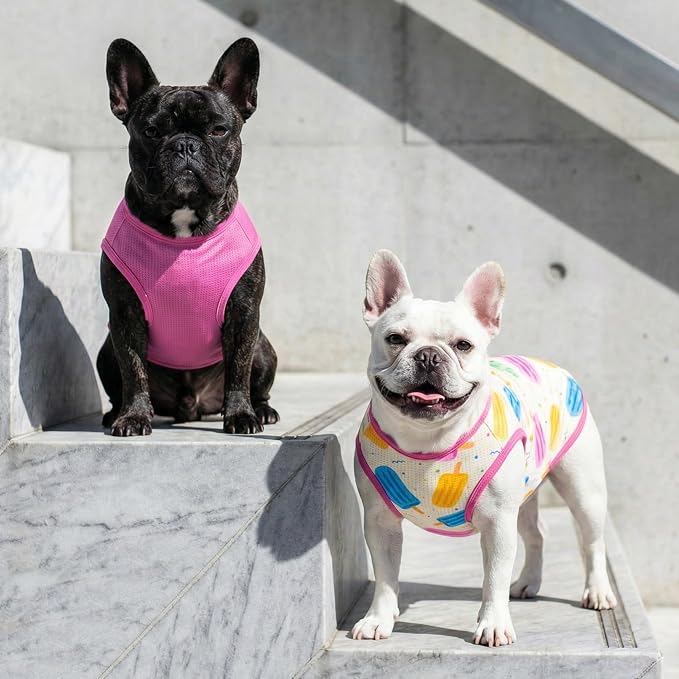 KYEESE 2Pack Dog Shirt, Lightweight Sun Protection Dog T Shirts for Small Dogs Girl, Breathable Mesh Tank Top Sleeveless Puppy Reflective Vest, Soft Summer Dogs Clothes, Ice Pop+Pink, S