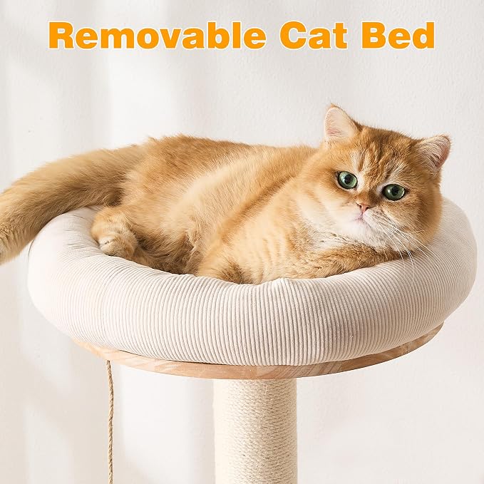 HITTITE Solid Wood Cat Tree Tower with Scratching Post, 61 Inches Tall Cat Towers with Capsule and Condo, Modern Cat Tower with Hammock and Removable Top Bed for Indoor Cats.White