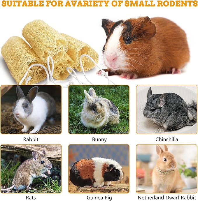 12 Pcs Rabbit Chew Toys Natural Bunny Loofah Chew Toy Chinchilla Teeth Grinding Toys Guinea Pig Fibre-Rich Treats Enrichment Bunny Accessories for Rabbits Hamster (S)