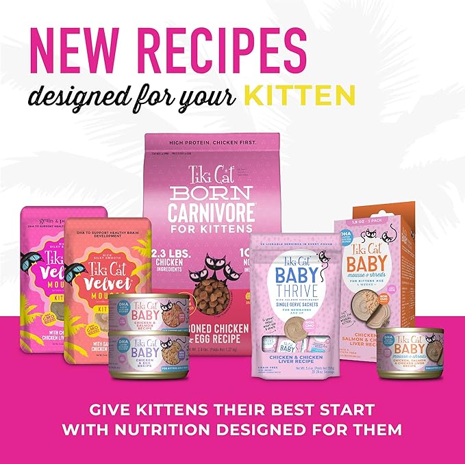 Tiki Cat Baby Wet Food for Kittens Mousse & Shreds, Chicken, Salmon, and Chicken Liver, High-Protein 1.9 oz. Cans (Pack of 3)