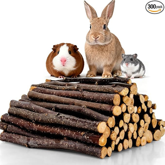 Sukh Natural Organic Apple Sticks - 340g Apple Sticks for Rabbits,Hamster Chew Stick for Hams Rabbit Bunny Gerbil Guinea Pig Squirrel Chinchilla,Small Animal Chew Sticks