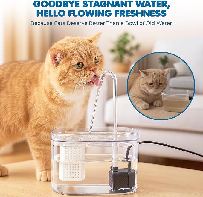 SunGrow Automatic Flowing Hydration with Filter, Silent USB Pump Cat Water Fountain, Transparent Feeder Bowl for Indoor Felines, Ferrets, and Small Animals (6" x 5" x 5")