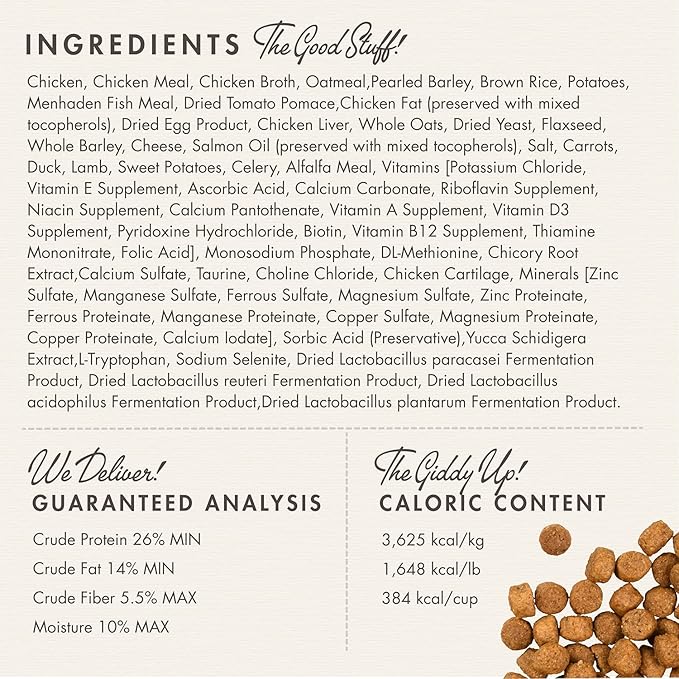 Fromm Large Breed Puppy Gold Premium Dry Dog Food - Dry Puppy Food for Large Breeds - Chicken Recipe - 15 lb