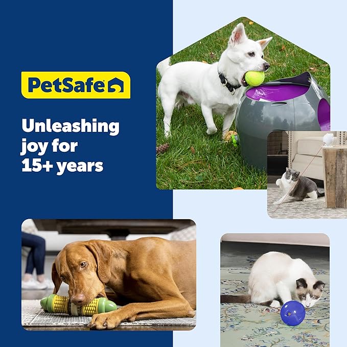 PetSafe Busy Buddy Bouncy Bone, Treat Holding Dog Toy, Medium, Best for Dogs 10-50 Lb.