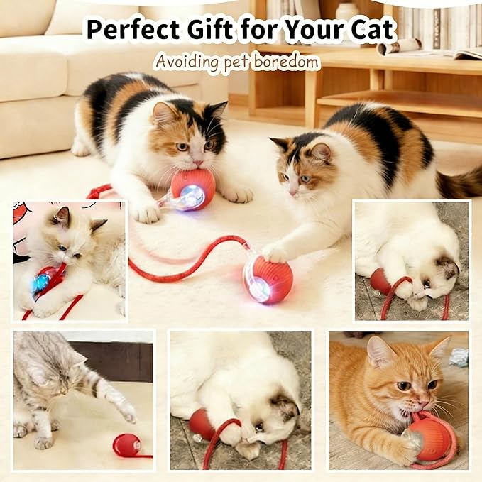 Rechargeable Smart Rolling Cat Ball, Automatic Interactive Cat Toy with 3 Modes, LED Light & 3 Replaceable Accessories, Indoor Cat Exercise Toy for Kittens & Adult Cats, for Boredom Relief Green