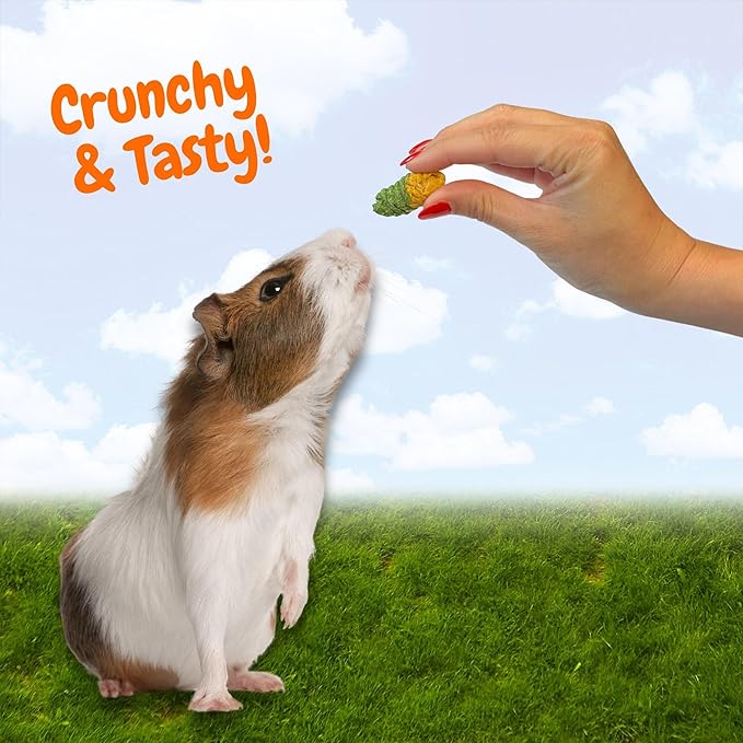 Exotic Nutrition Crunchy Swirls - Fun & Unique Timothy Hay Treat - Rabbits, Guinea Pigs, Hamsters, Chinchillas, Prairie Dogs, Degus, Rats, Squirrels & Other Herbivores (4.7 oz.)