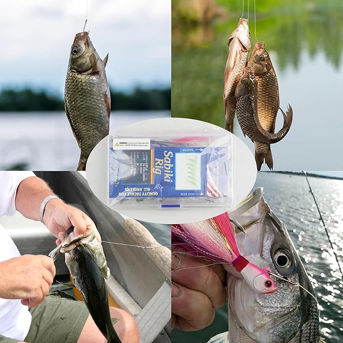 226pcs Saltwater Fishing Tackle Kit Include Fishing Lures Hooks Leader Rigs Bucktail Jig Weights Sinkers Swivel Snap Beads Various Accessories with Tackle Box for Freshwater Saltwater Fishing