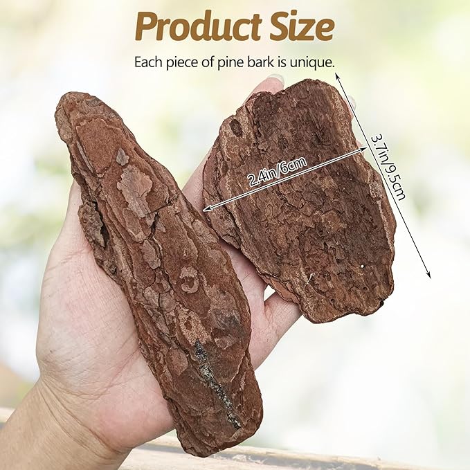 BNOSDM Large Reptile Pine Bark Substrate Tortoise Bed for Habitat Natural Flat Pine Wooden Bulk Terrarium Reusable Bark Pieces for Leopard Gecko, Spider, Chameleon, Ball Python, Tree Frog
