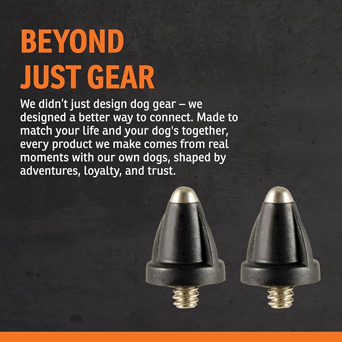 SportDOG Brand Short Contact Points - 1/2 Inch Replacement Probes E-Collars - Standard Length