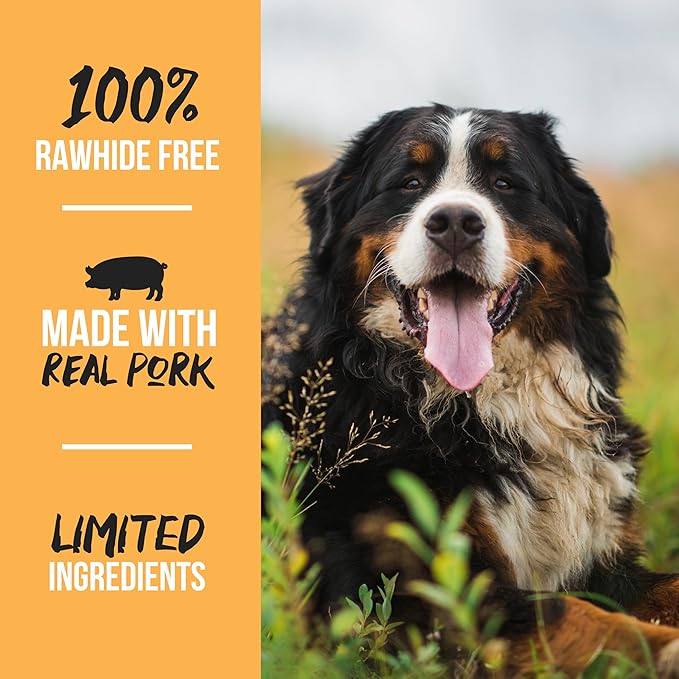 Scott Pet Grillerz Vacuum Sealed Ham Bone, 1 Count, Rawhide Free, All Natural Treat for All Breeds, Long Lasting, Easy to Digest, Dog Chew for Healthy Teeth