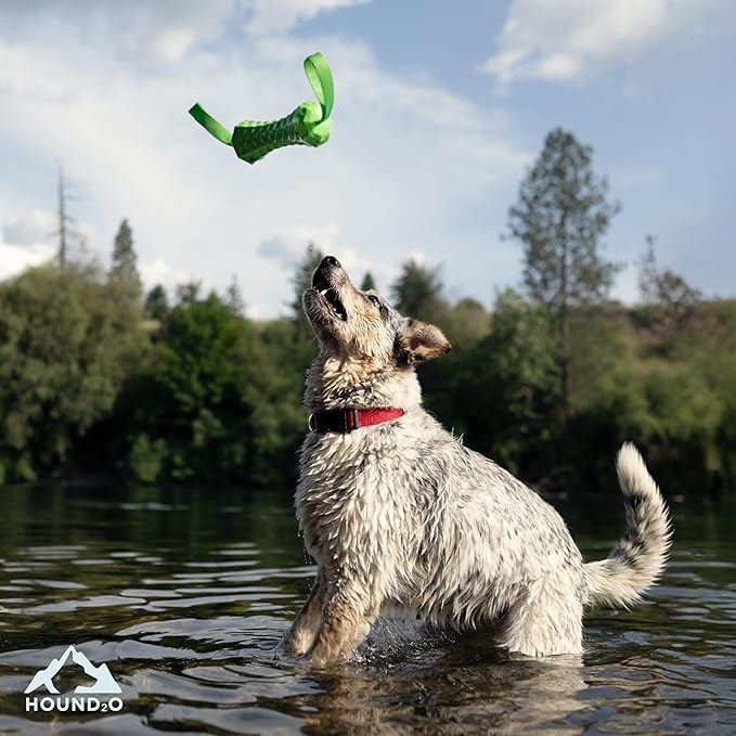 Playology HOUND2O Dog Toys | Tug Stick Floating Outdoor Toy for Dogs | Bright Green Fetch Toy for Tug of War