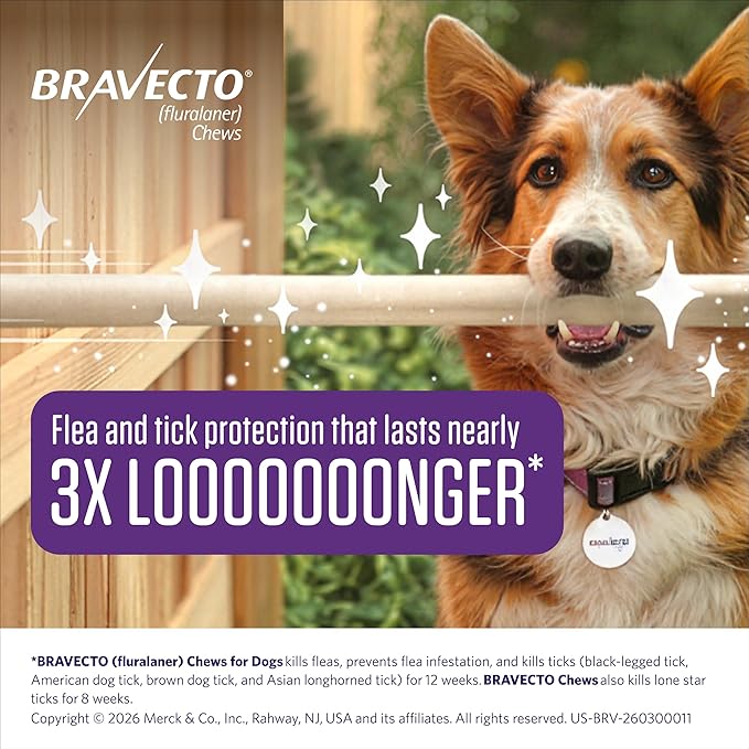 BRAVECTO Chew for Dogs, Flea & Tick, 1 Chew, 12 Week Supply, 22-44 lbs., Green Box