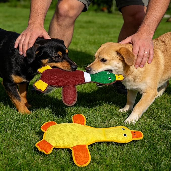 EXPAWLORER Squeaky Floating Dog Toys for Water Fetch, Stuffed Duck Dog Pool Toys with Squeakers, Soft Mesh Interactive Outdoor Summer Essentials for Small Medium Large Dogs, 2 Pack