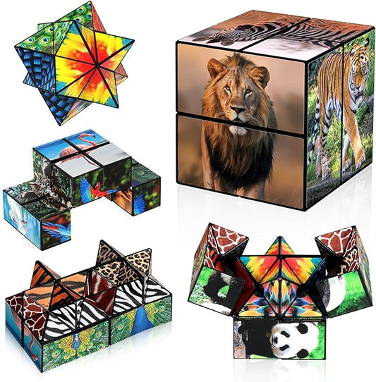 2 in 1 Star Cube Magic Cube Set, Fidget Toy for Kids, Animal Toys for Ages 8-13, Travel Yoshimoto Cube for 6 7 8 9 10 11 Year-Old Boy Girls Gifts