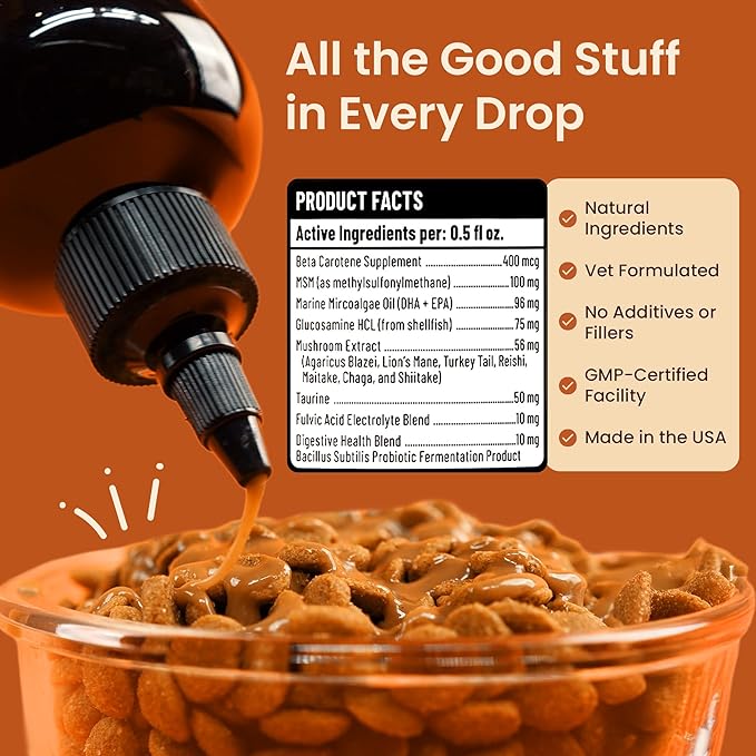 Everyday Dog Gravy - Wet Dog Food Topper for Dry Food with Glucosamine, MSM, Beef Bone Broth, Omega 3, Probiotics and Taurine - Skin, Coat, Heart, Hip and Joint Support, 16 oz (Beef)