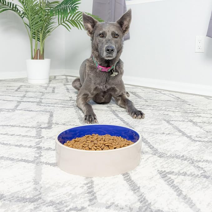 SPOT Standard Crock Dish - Heavy Duty, Non-Slip, Round Ceramic Food/Water Bowl for Pets, Ideal for Medium to Large Dogs or Multiple Animals, Dishwasher Safe - 9.5 in, 8 Cups, (64 Oz)(Pack of 6)