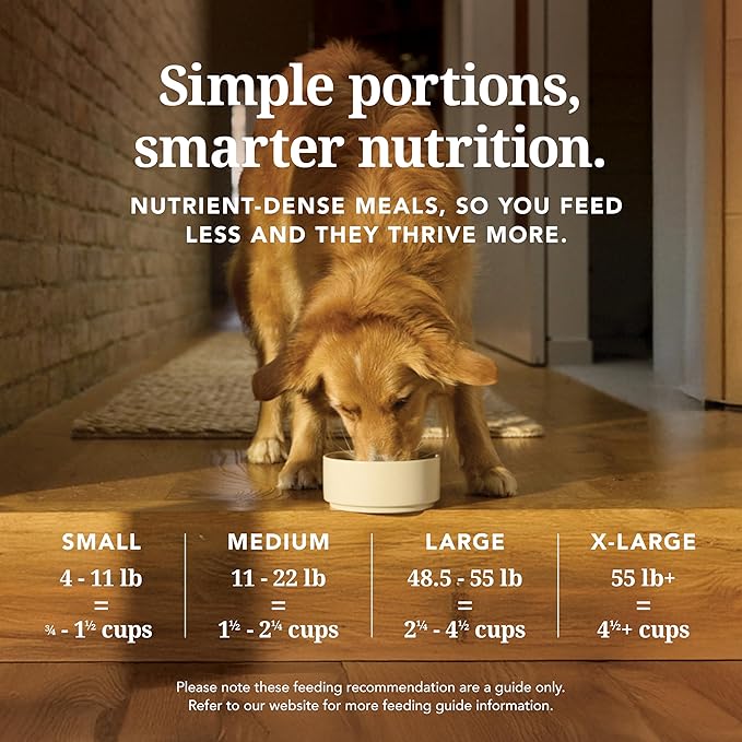 K9 Natural Lamb & King Salmon Freeze Dried Dog Food, High-Meat Natural Complete Meal or Meal Toppers for Dogs, Grass-Fed Lamb & King Salmon from New Zealand, Grain-Free, GMO-Free, 17.6oz
