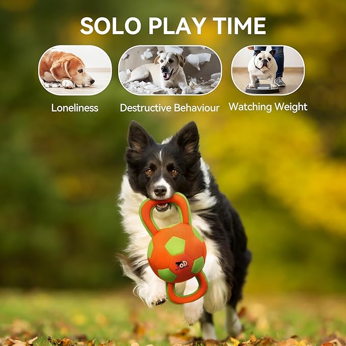 ALL FOR PAWS Dog Ball with Handles, Dog Toy with Squeaker, Interactive Tug of War Ball Toy for Medium and Large Dogs, Outdoor Ball Toys for Fetch & Tug Play, 15.7 x 7.9 x 7.9 Inch