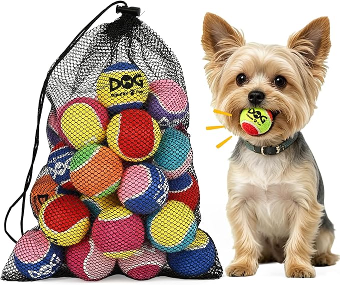 INSUM Squeaky Balls for Dogs - 24 Pack Small Squeaky Tennis Balls for Dogs, 2 Inch Eye-Catching Color Toy Balls, Built-in Squeaker, Idea for Doggie Birthday Gift