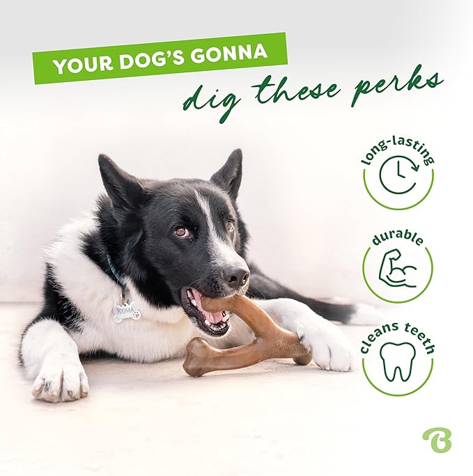 Benebone 2-Pack Wishbone Durable Dog Chew Toy for Aggressive Chewers, Real Bacon Made in USA, Medium