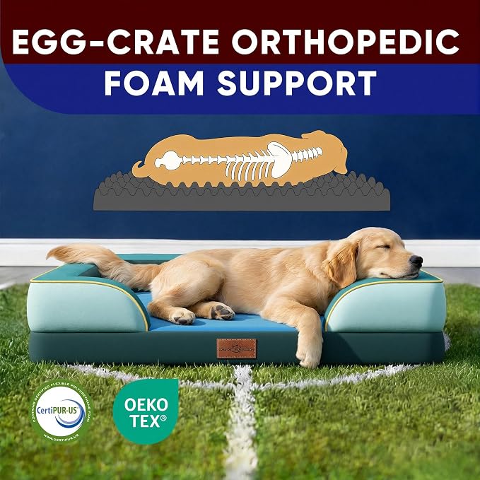 Comfort Expression Orthopedic Dog Bed for Extra Large Dogs with Bolster | Waterproof Dog Couch Bed with Washable Cover & Non-Slip Bottom, Supportive Egg Crate Foam XL Pet Bed, 42x30 Inch
