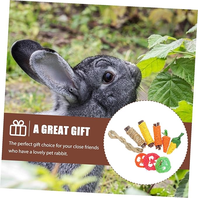 Totority Bunny Teeth Cleaning Chew for Small Pets Indoor Hamster and Rabbit Dental Care Fun Kit for Healthy Teeth and Play