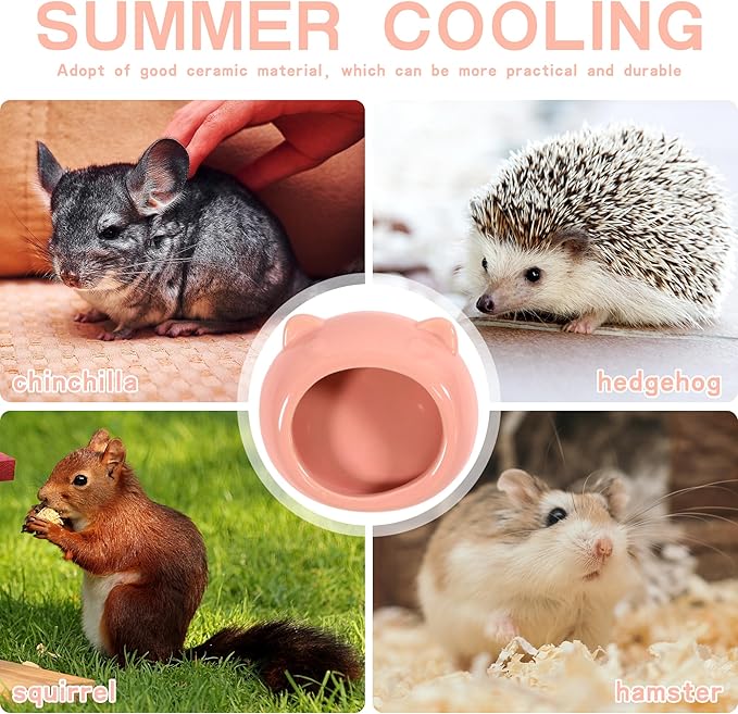 Ceramic Small Pet Hamster Food Bowl – Spill-Proof Guinea Pig & Hedgehog Dish – Durable, Easy to Clean, Non-Tip Design for Small Pets (Pink)