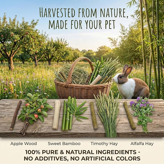 Bunny Chew Stick Rabbit Toy Treat 400g 4 in 1 Molar Stuff 100% Organic Natural Snack Apple Branch Sweet Bamboo Timothy Hay Alfalfa Food Clean Teeth Hamster Chinchilla Parrot Gerbil Squirrel