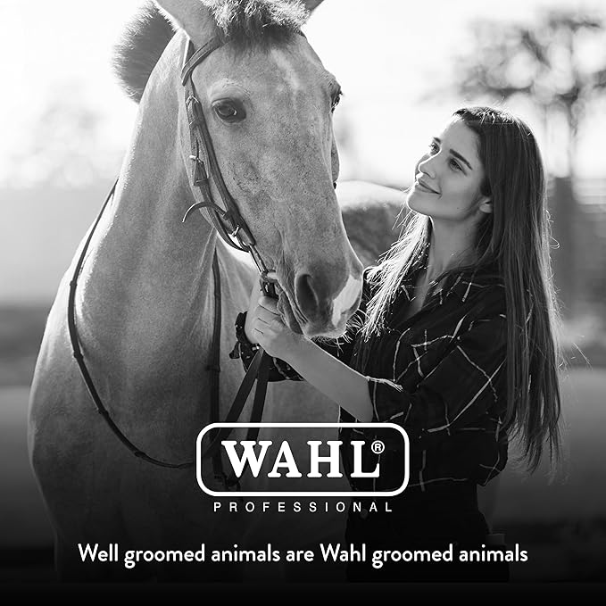 Wahl Professional Animal Equine Grooming Stiff Body Horse Brush, Black (#858705)