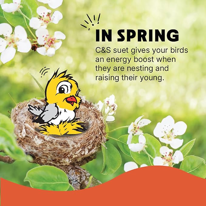 C&S Insect Suet Treat, Suet Cakes for Wild Birds Including Woodpeckers, Wrens, Chickadees, Nuthatches and Robins, Pack of 8